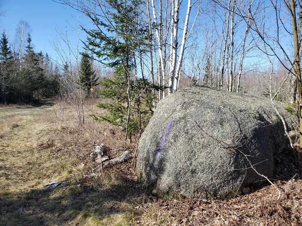 0 Meadow Road Addison, ME 04606 - Photo 11 of 36 glacial boulder on Meadow