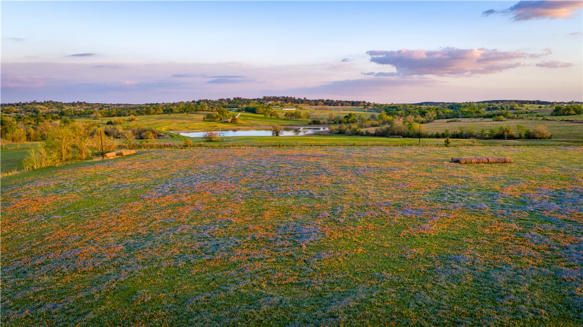 5107 Bovista Ranch Road Navasota, TX 77868 - Photo 43 of 49