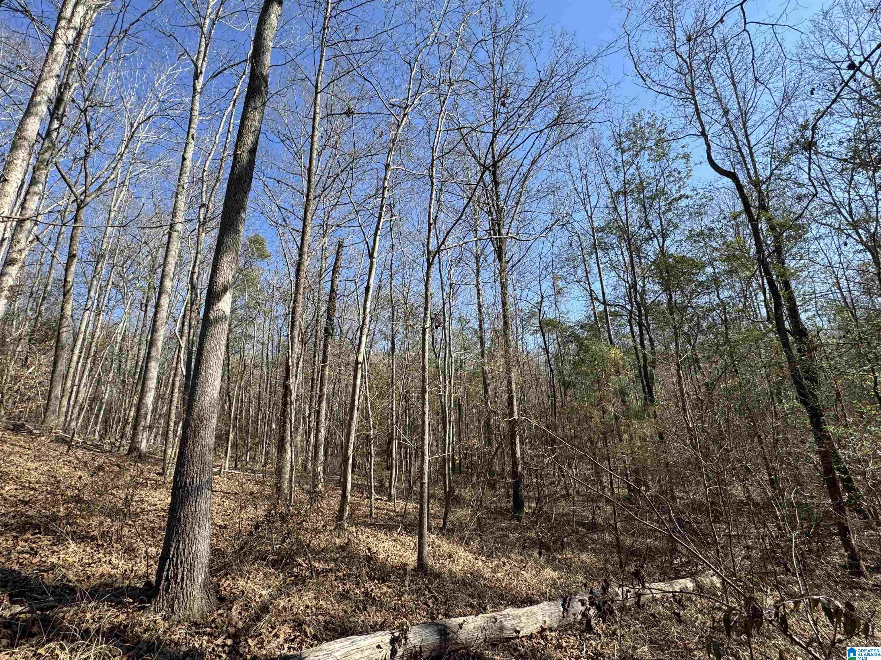 7 Rockyview Road, Unit 7 West Blocton, AL 35184 - Photo 6 of 10