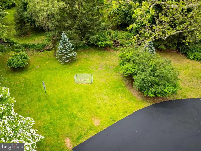 a view of a garden with plants