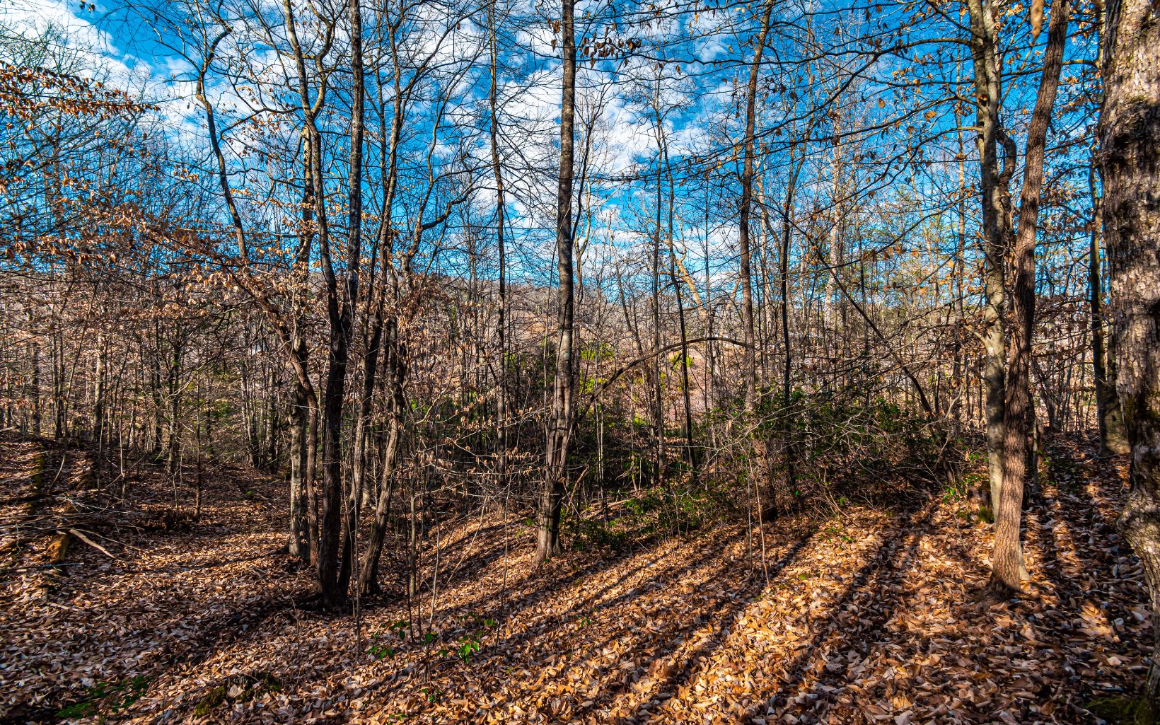 1.69 A Amber Ridge Road Blue Ridge, GA 30513 - Photo 12 of 59 Additional View