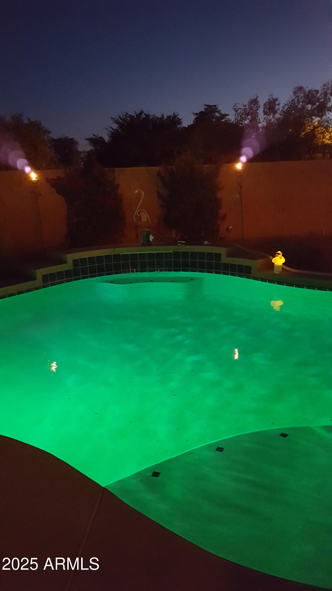 10233 West Cordes Road Tolleson, AZ 85353 - Photo 52 of 57 Remote controlled pool light