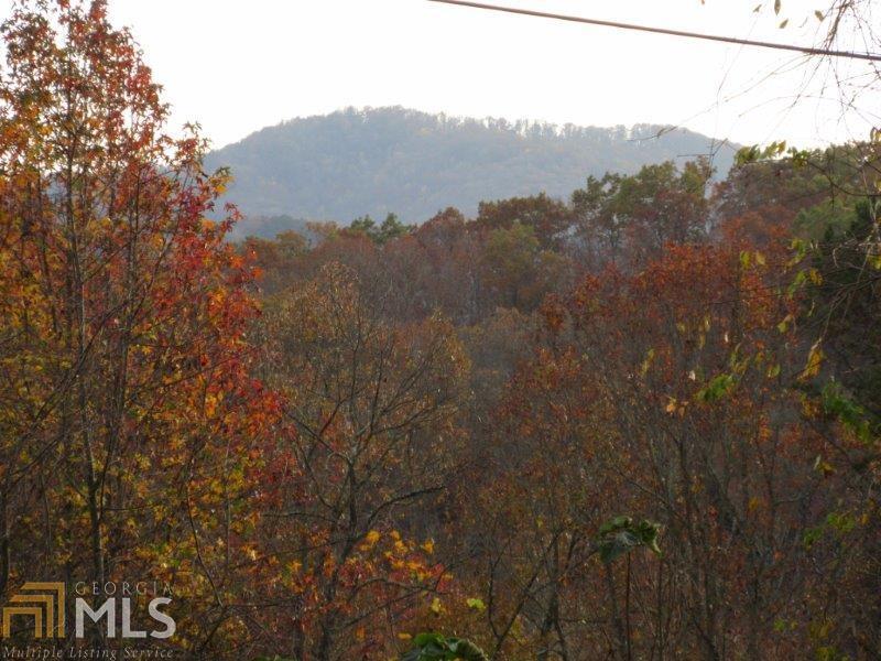 13 Walnut Way Blue Ridge, GA 30513 - Photo 1 of 1