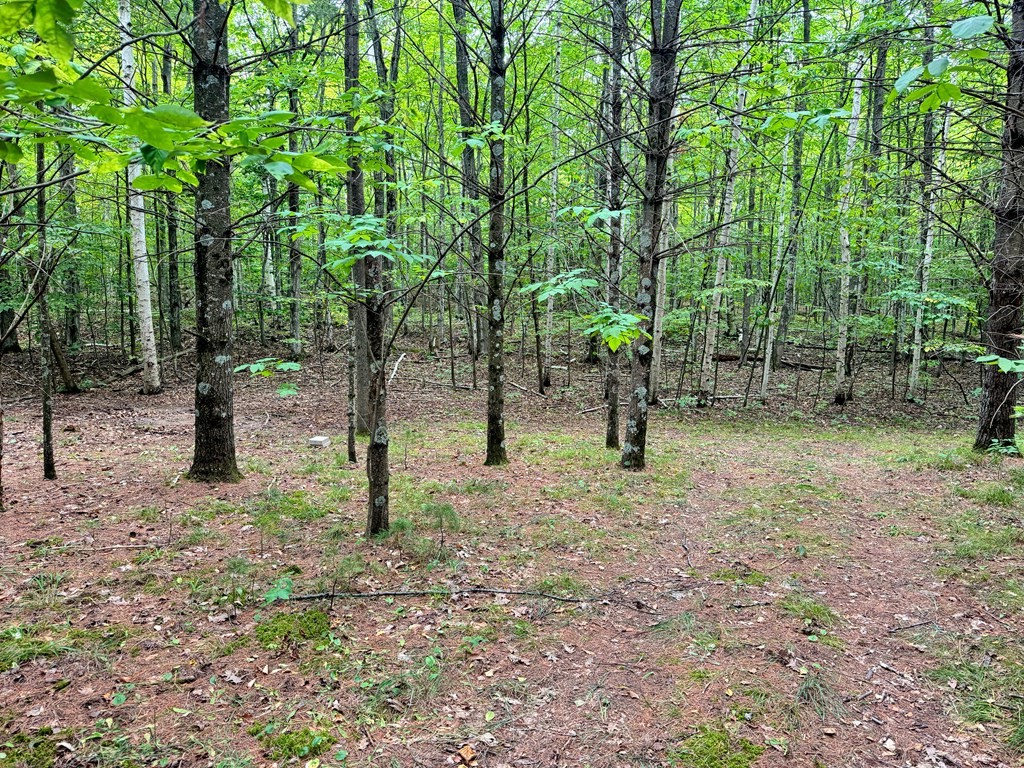 5-acres Logerquist Road Baileys Harbor, WI 54202 - Photo 5 of 13 Gallery Image 5