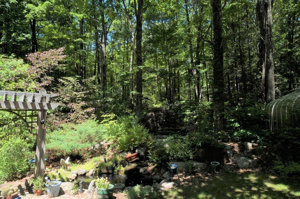 522 Leadmine Road Sturbridge, MA 01566 - Photo 31 of 33 a view of a garden with plants and large trees