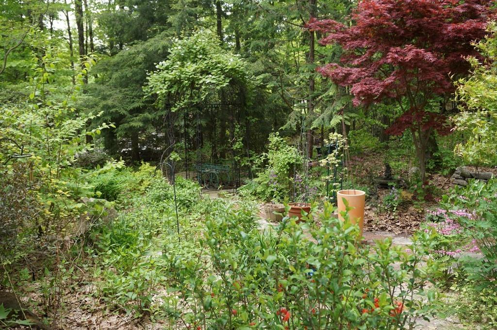 522 Leadmine Road Sturbridge, MA 01566 - Photo 32 of 33 a view of a forest with a tree