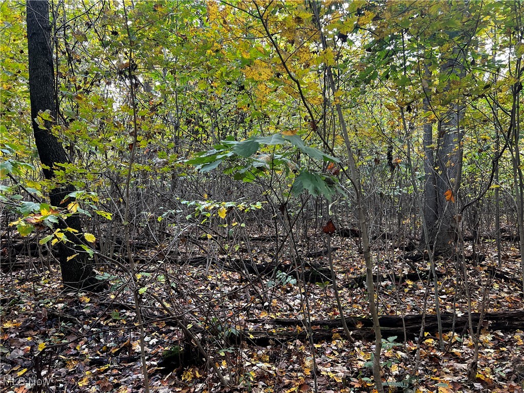 Topper Road Jefferson, OH 44047 - Photo 21 of 35