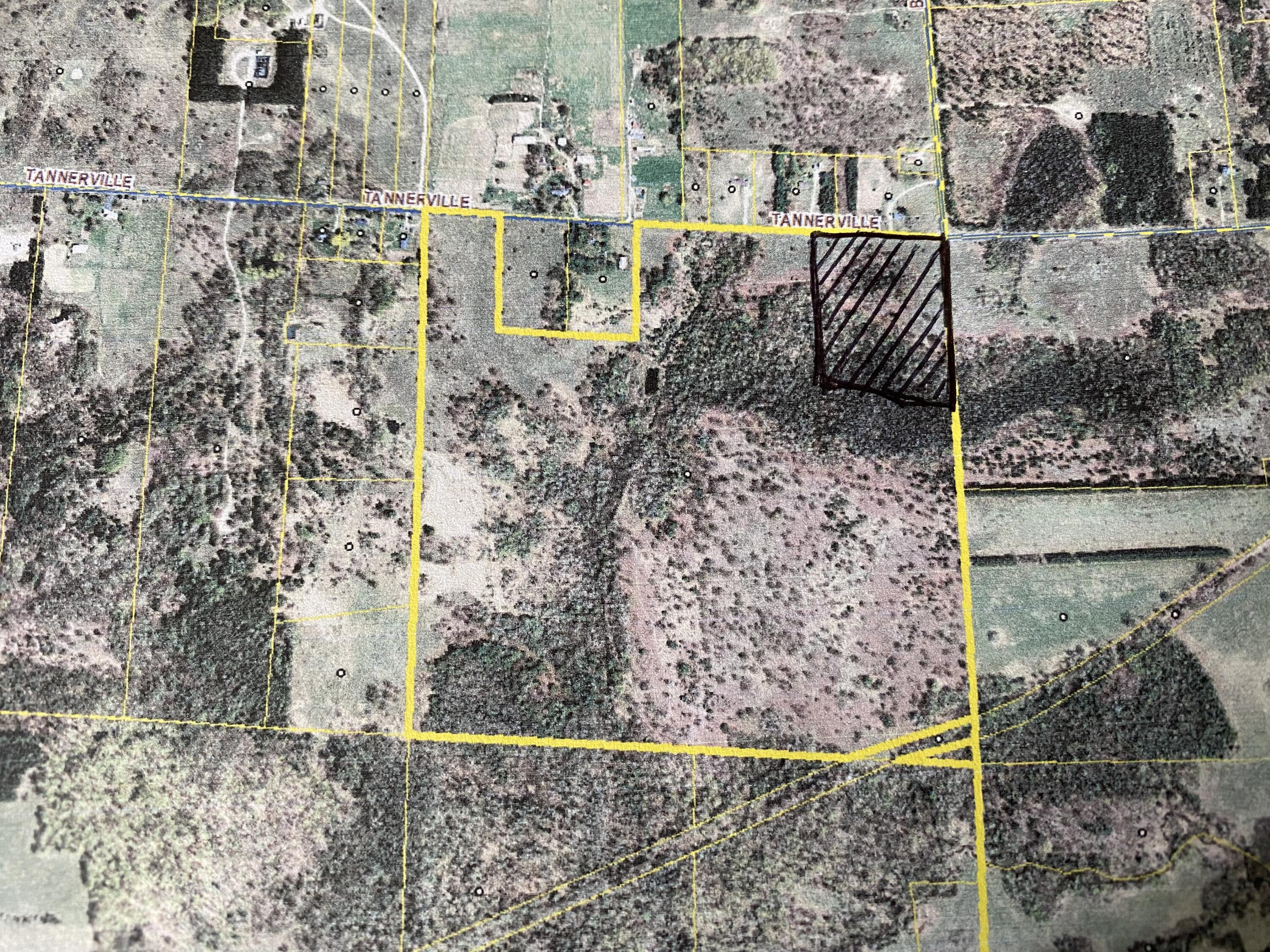 Tannerville Road Kaleva, MI 49645 - Photo 1 of 7 15 Acres m/l - Hashed Area