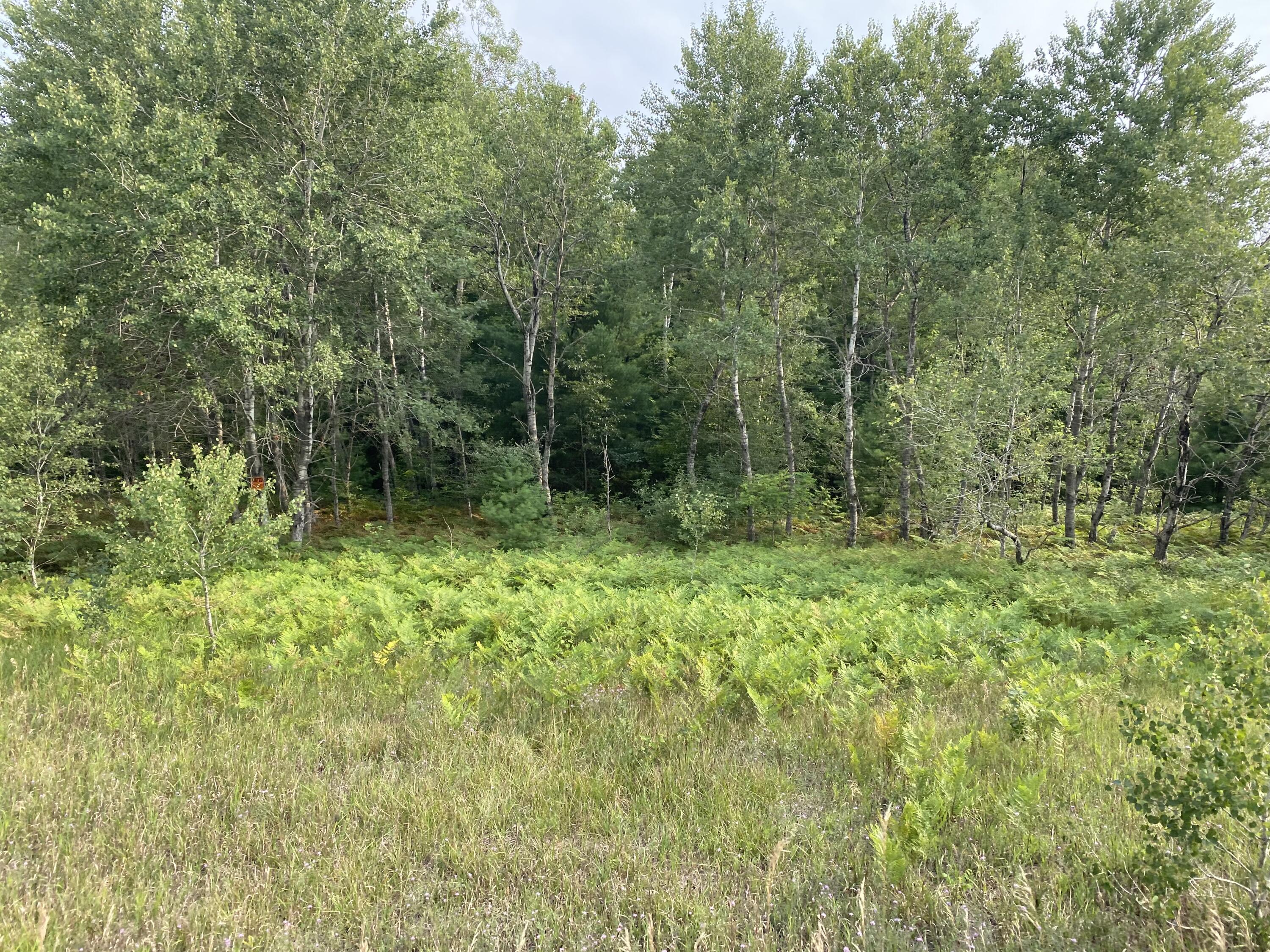 Tannerville Road Kaleva, MI 49645 - Photo 2 of 7 Tannerville Rd, Kaleva, MI