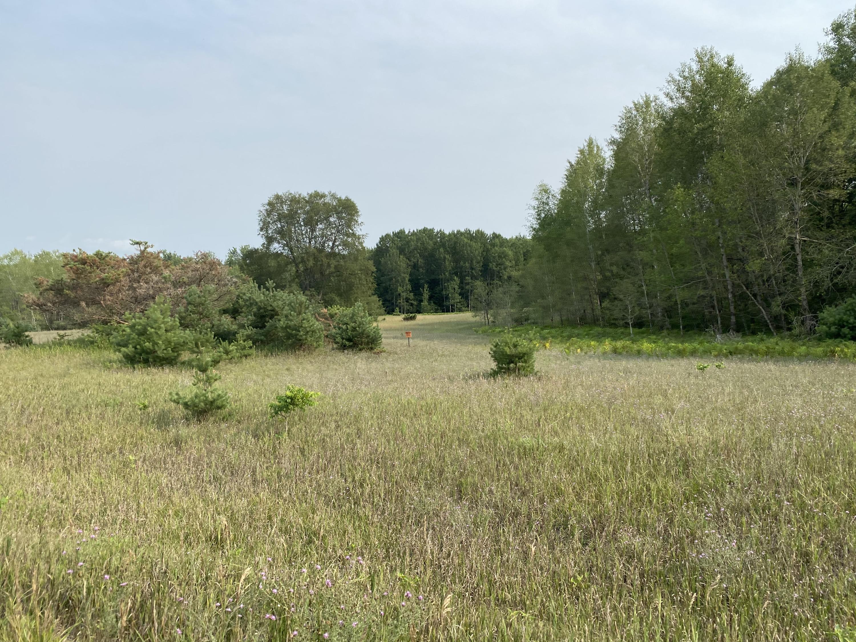 Tannerville Road Kaleva, MI 49645 - Photo 3 of 7 Beautiful Building options