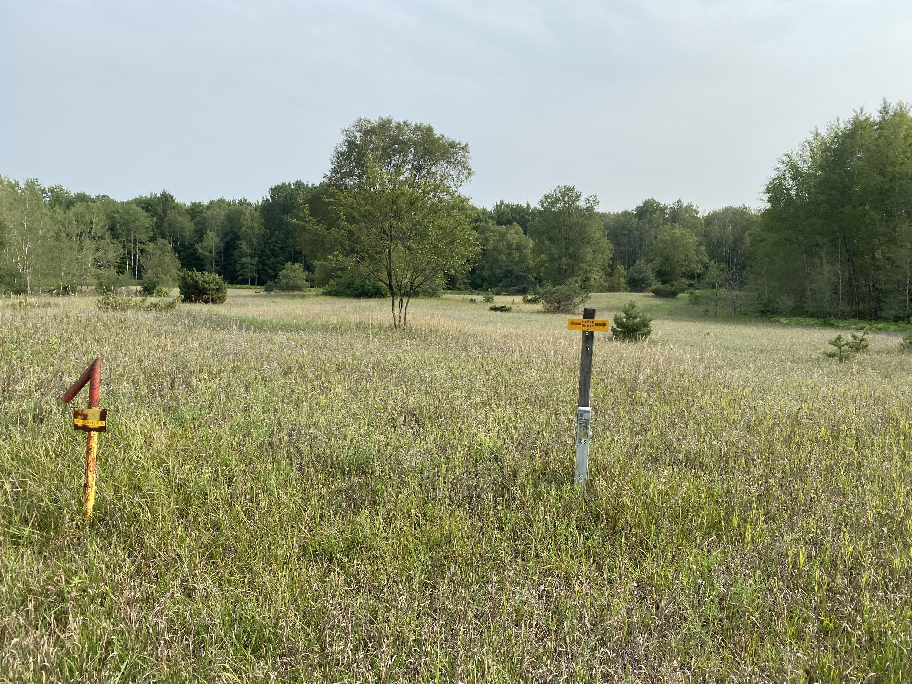 Tannerville Road Kaleva, MI 49645 - Photo 4 of 7 W MI Communication high-speed internet