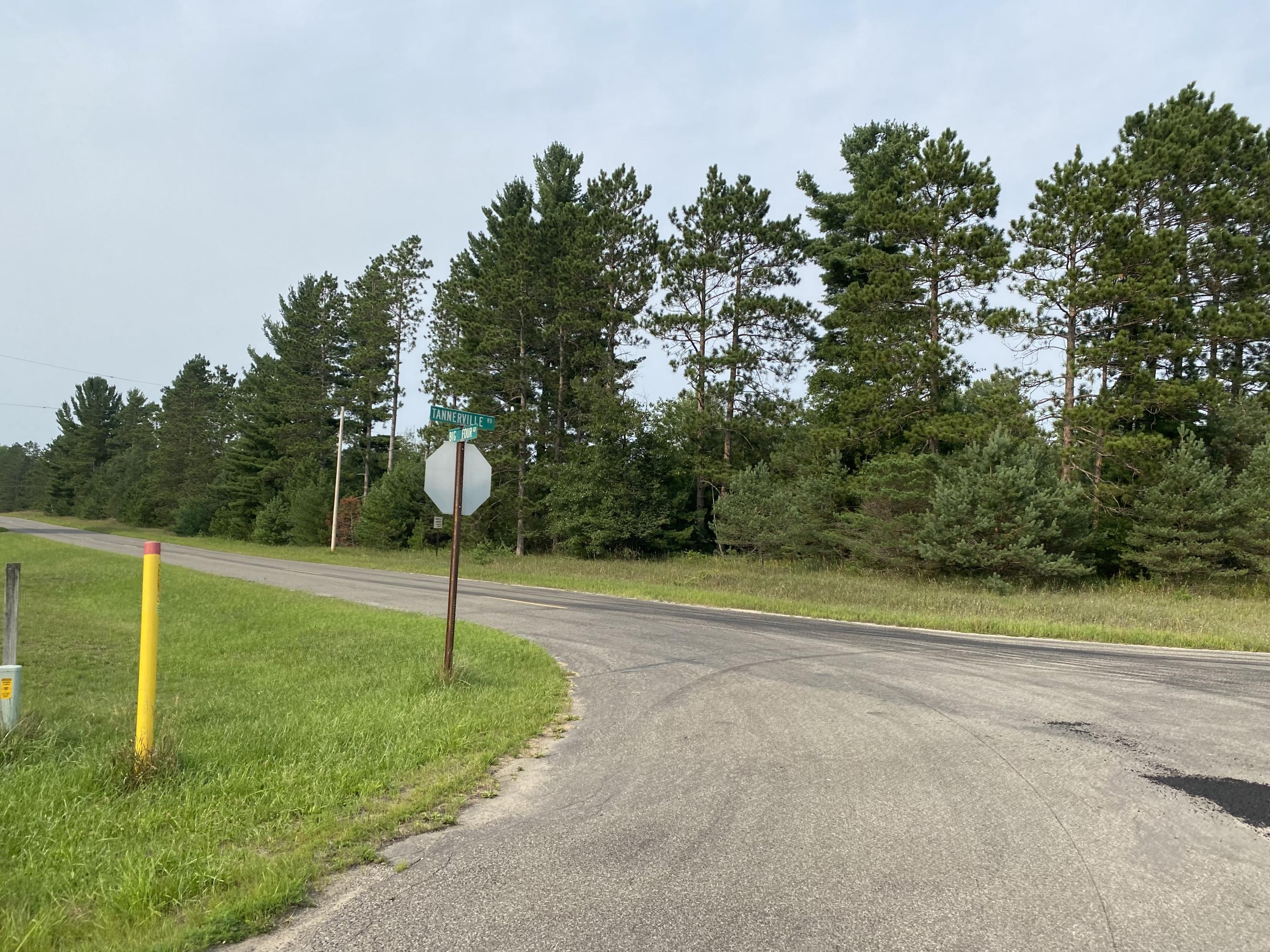 Tannerville Road Kaleva, MI 49645 - Photo 5 of 7 At the south end of Big Four Rd - paved