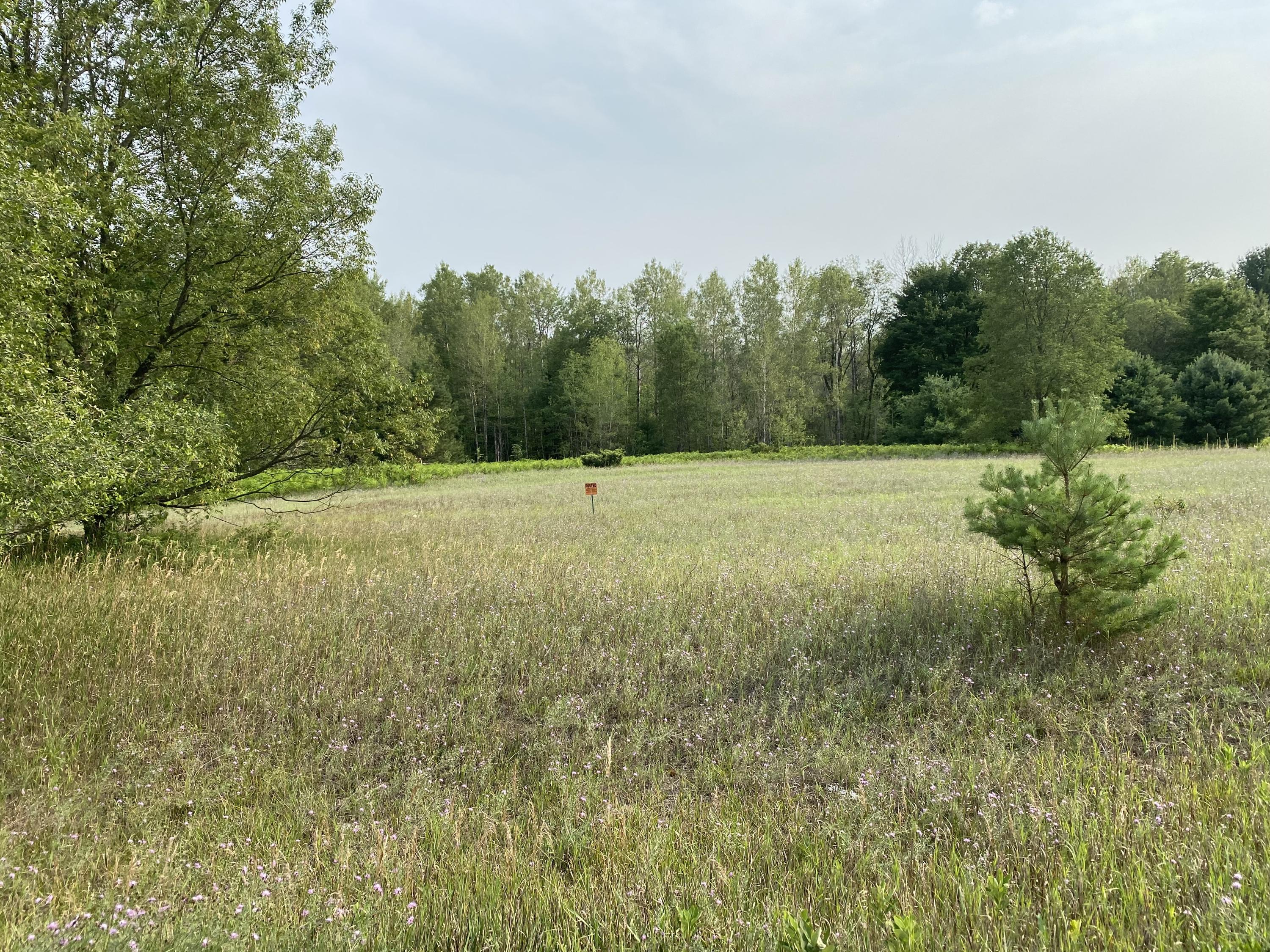 Tannerville Road Kaleva, MI 49645 - Photo 6 of 7 Variety of trees and open areas