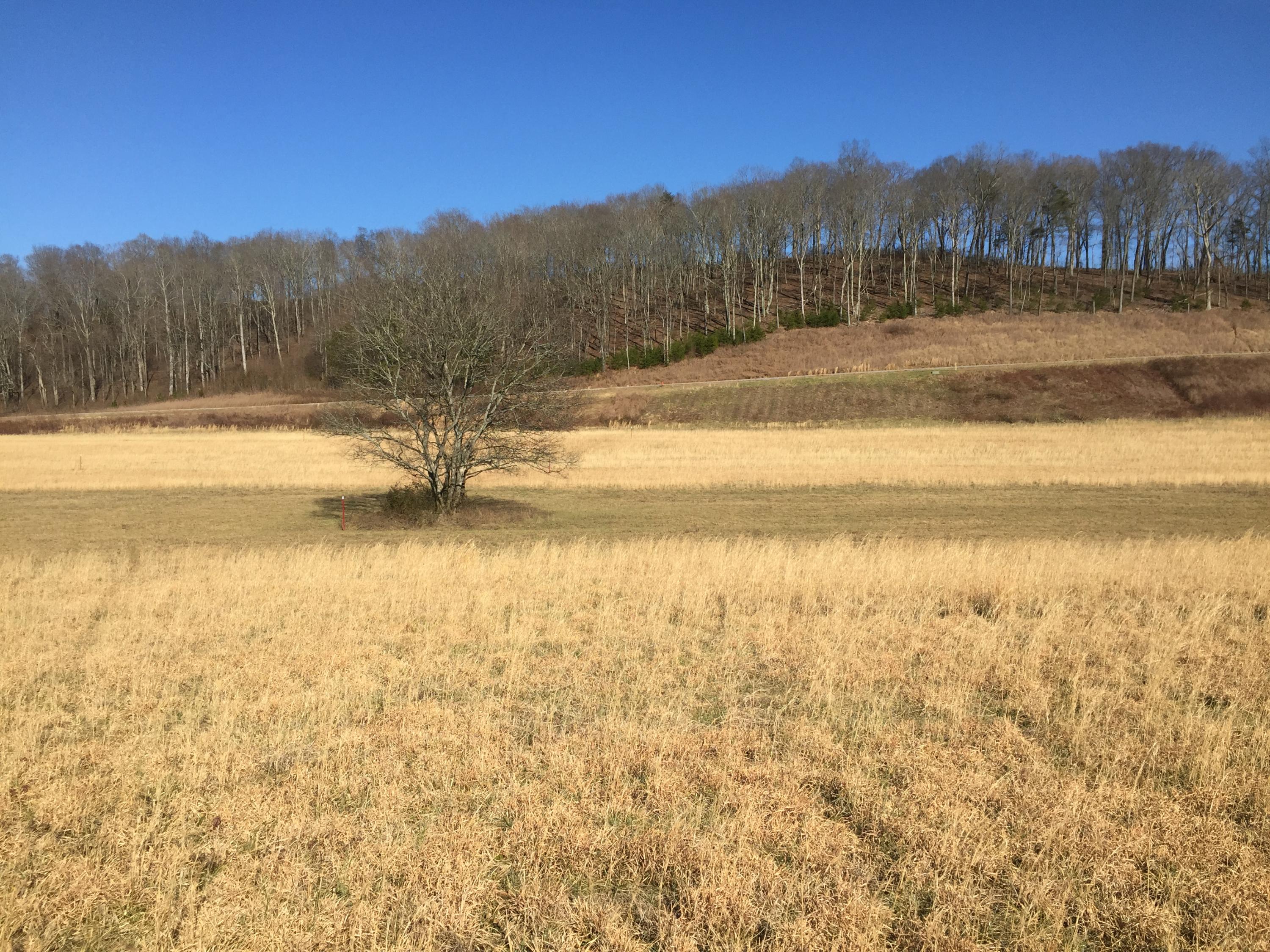 Lot 92-93 Espalier Bay Decatur Tn 37322 Decatur, TN 37322 - Photo 2 of 2 IMG_3870