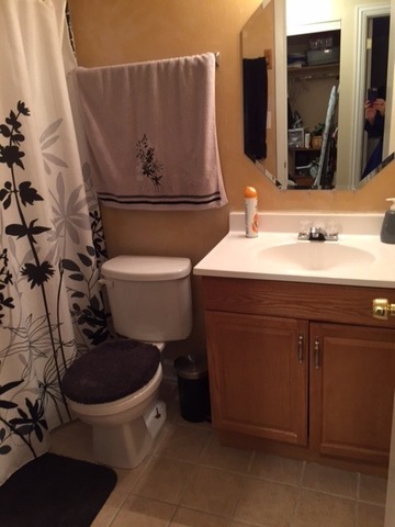 6237 Kit Carson Drive, Unit 4 Hanover Park, IL 60133 - Photo 10 of 16