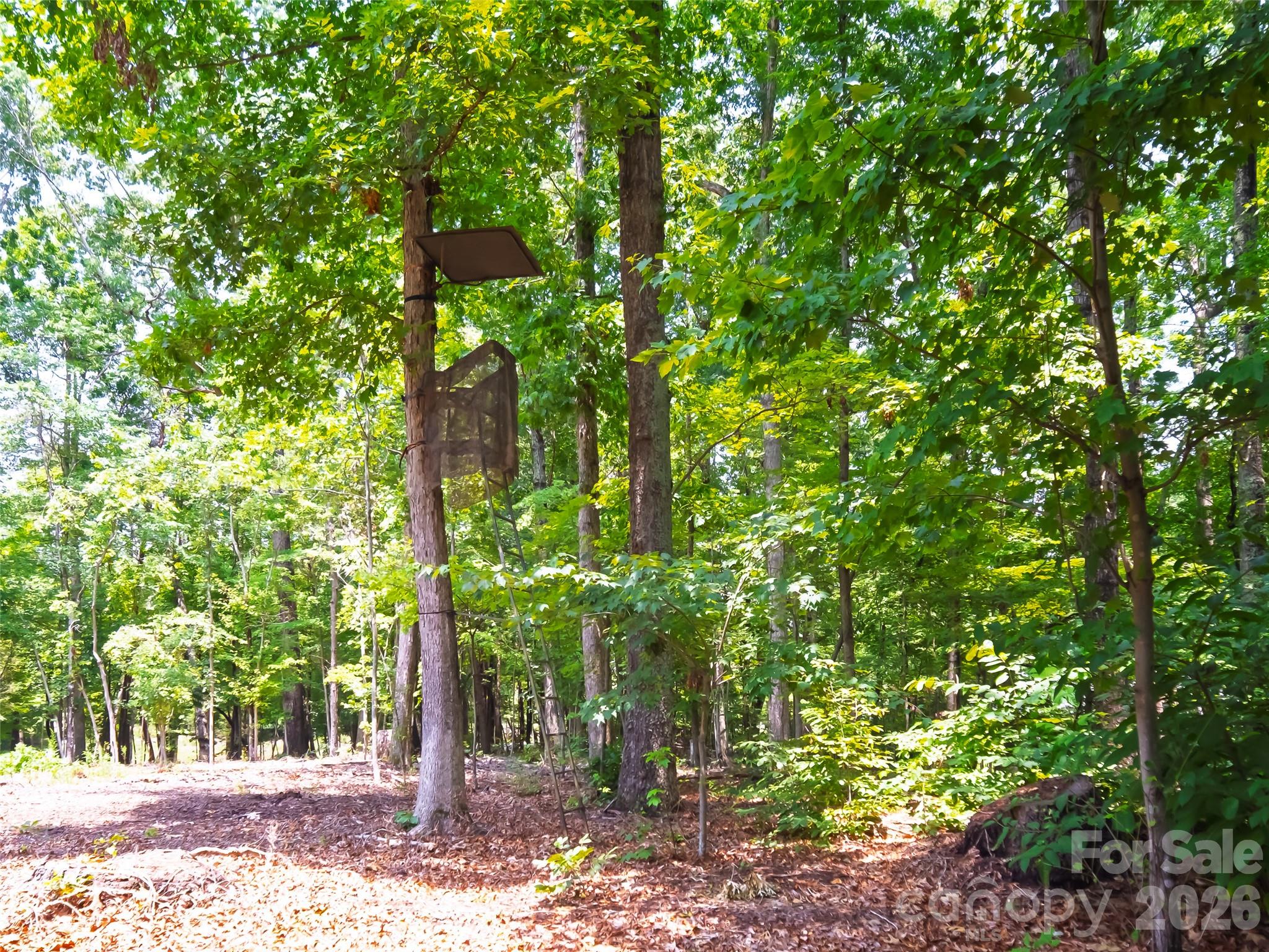 607 Bethany Road Gastonia, NC 28052 - Photo 8 of 44 Gallery Image 8