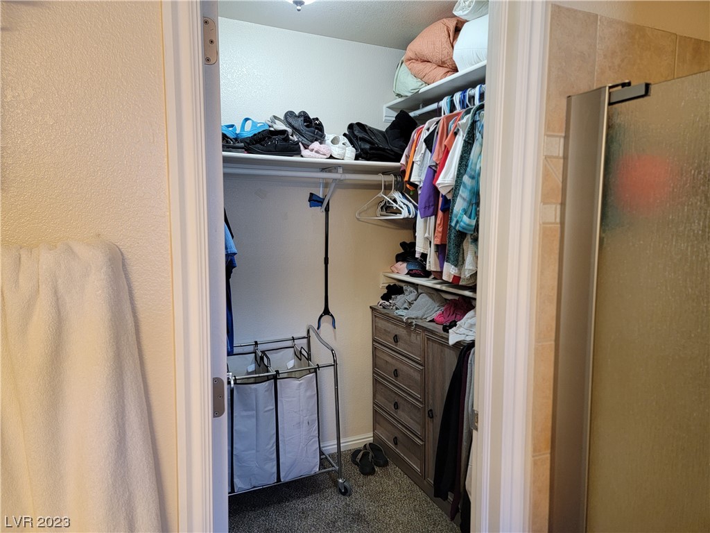 101 Keele Road Caliente, NV 89008 - Photo 27 of 44 Primary closet