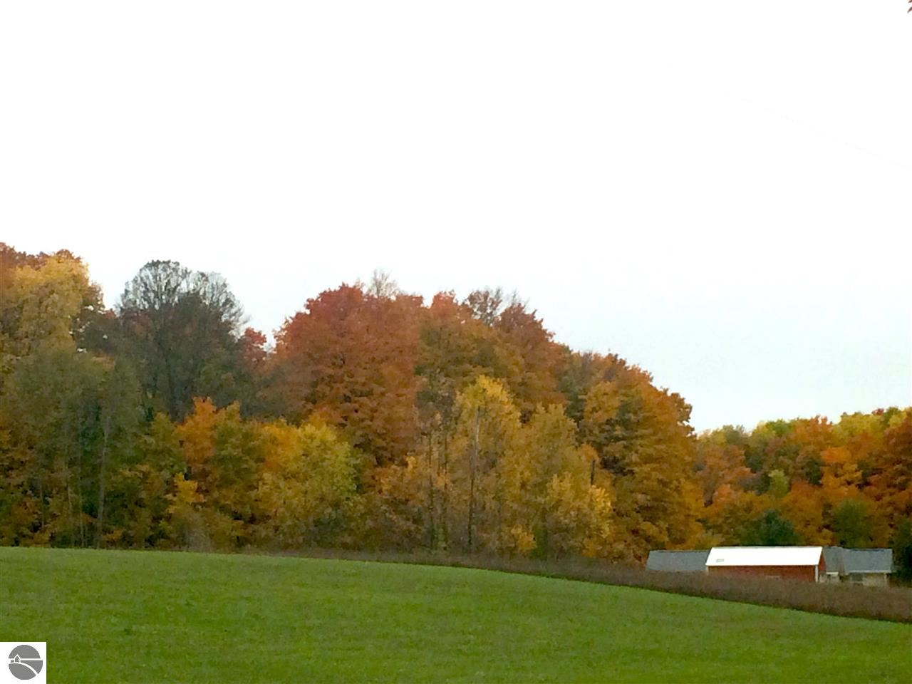 4712 Fortine Road Honor, MI 49640 - Photo 92 of 92 1785353-91.JPG