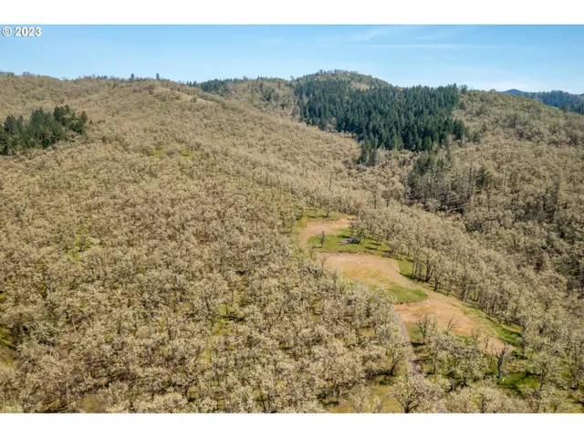 $250,000 | 0 East Willis Creek Road, Winston, OR 97496