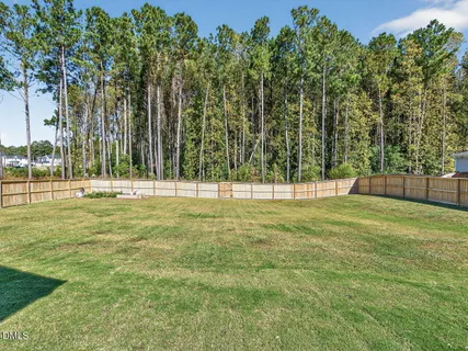 a view of outdoor space with trees all around