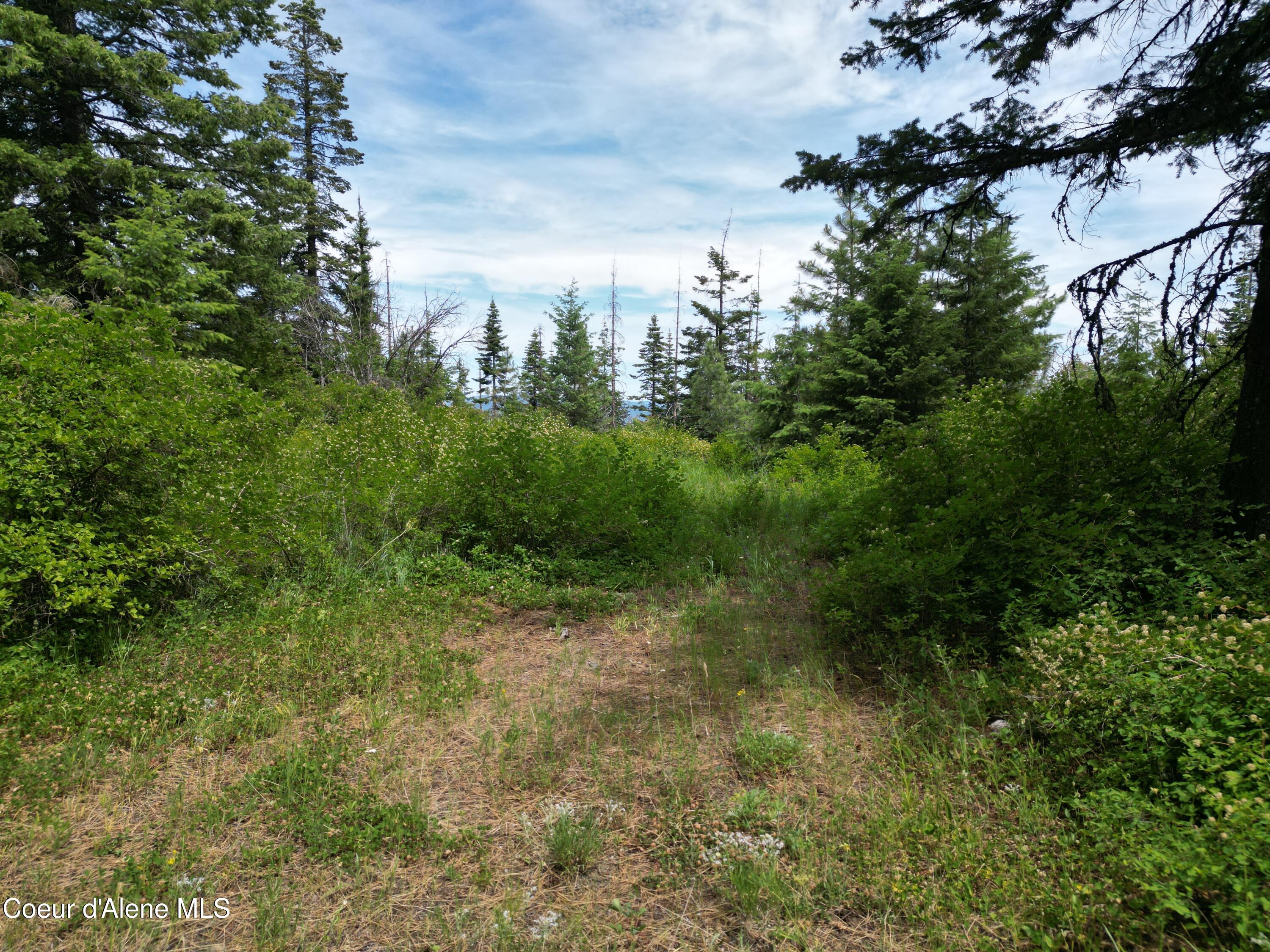 Nka Initial Peak Road Cataldo, ID 83810 - Photo 18 of 18 NKA Initial