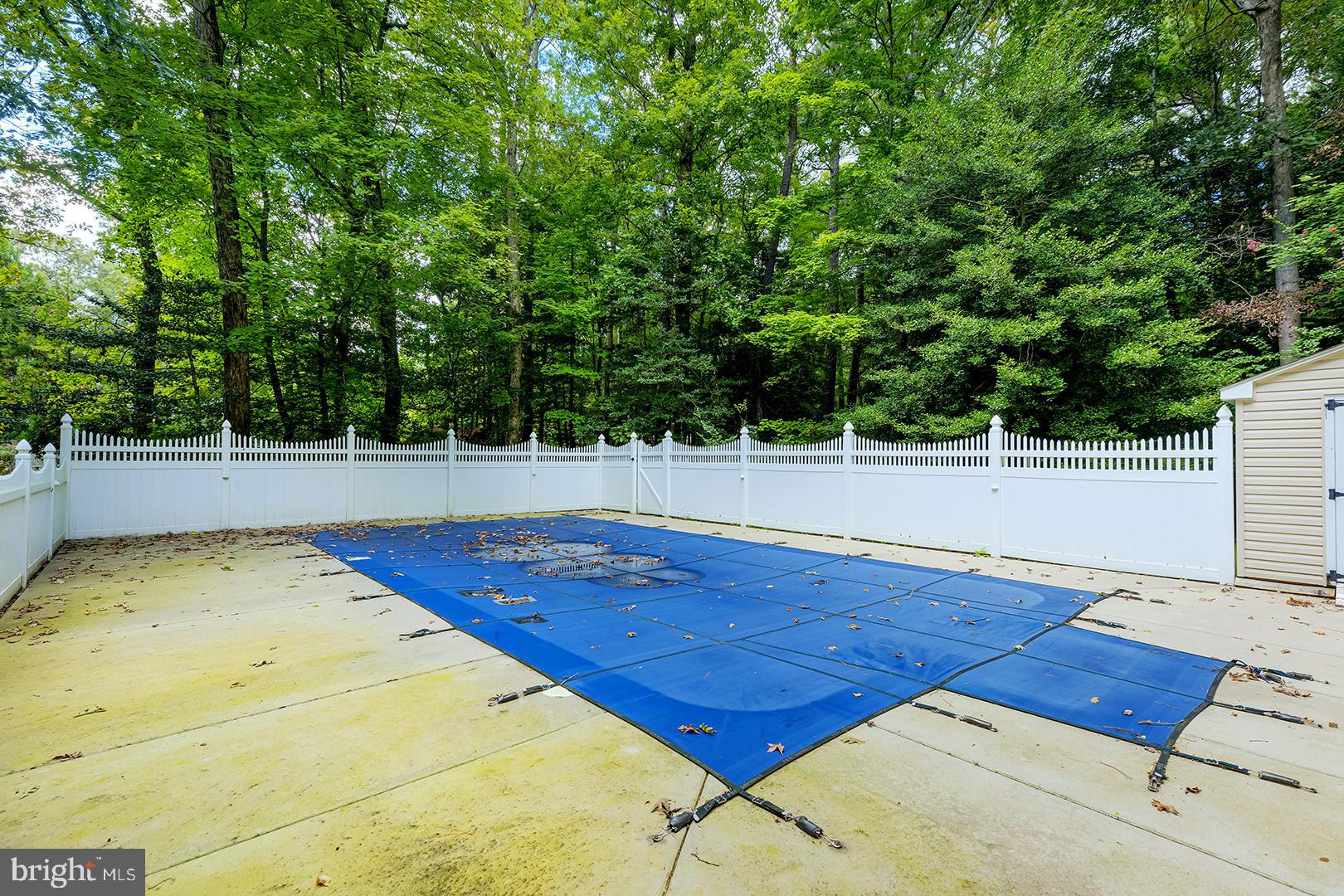 3910 5 Friars Road Salisbury, MD 21804 - Photo 40 of 45 a view of a swimming pool