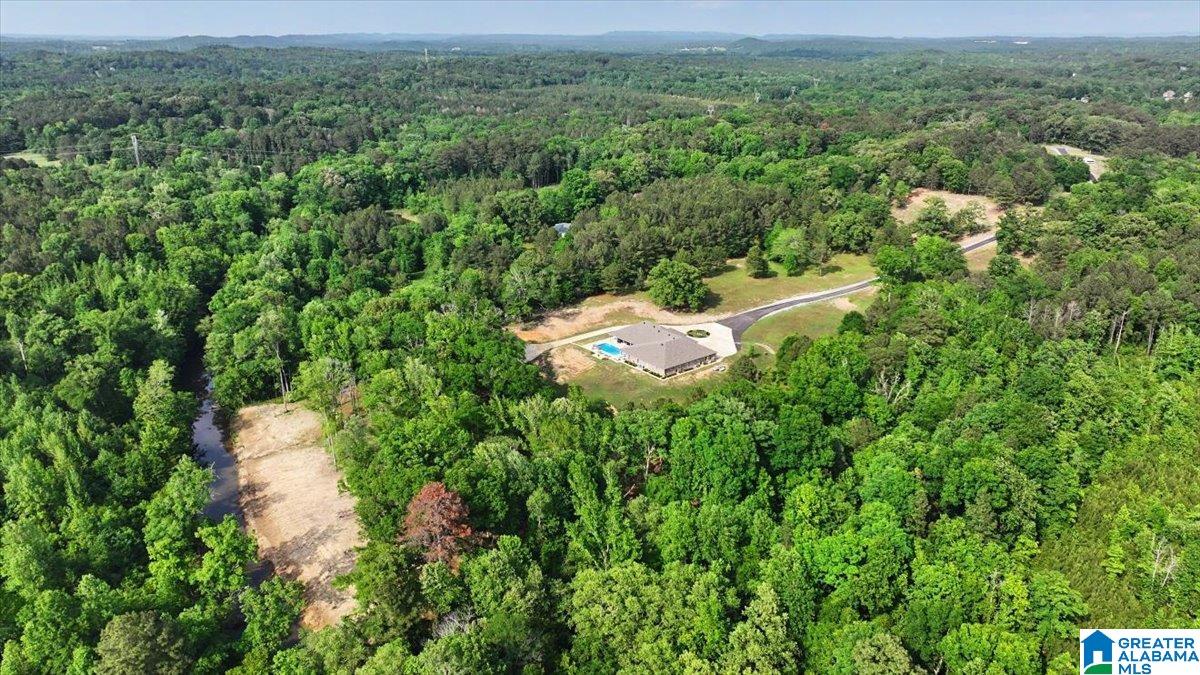 4550 Newbold Road Bessemer, AL 35022 - Photo 16 of 99