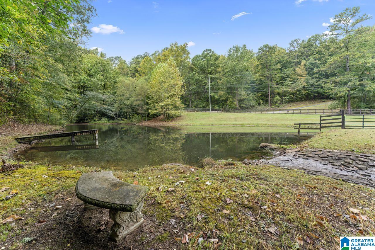 3045 Village Springs Road Springville, AL 35146 - Photo 4 of 50 Gallery Image 4