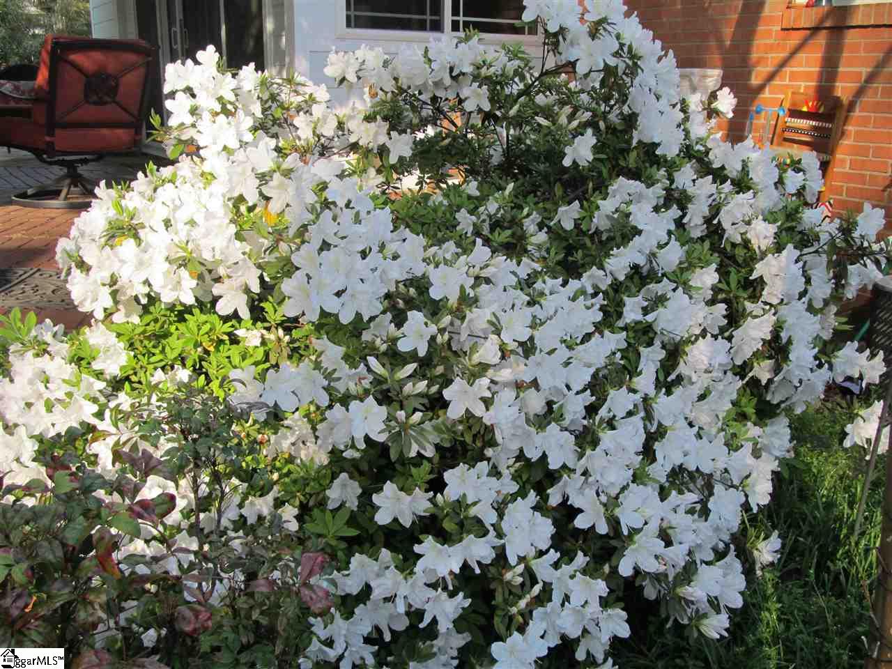15 Alpine Way Greenville, SC 29609 - Photo 28 of 31 Gallery Image 28