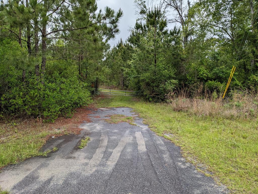 Lot 4 McMillan Road Lenox, GA 31637 - Photo 21 of 21 Gallery Image 21
