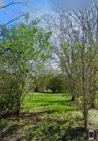 a view of a field with a tree