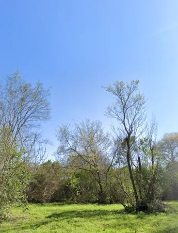 a view of a grassy field with trees