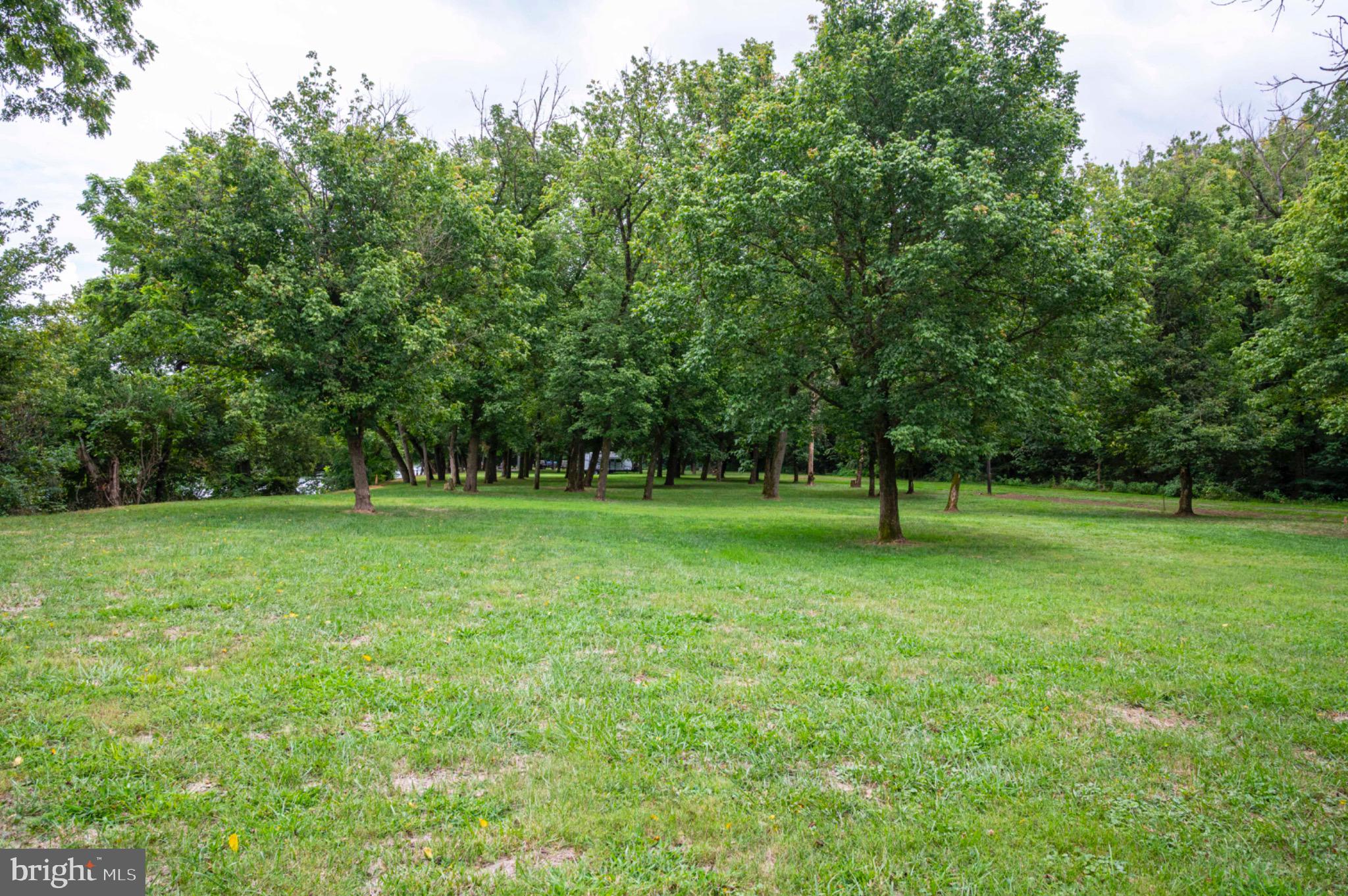 21 Burma Road Front Royal, VA 22630 - Photo 12 of 24 Park-like setting with scattered trees.