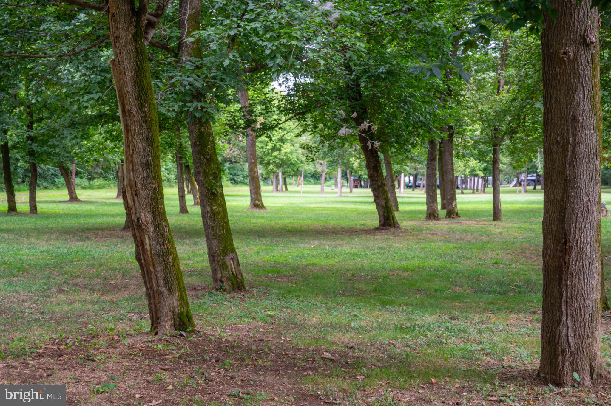 21 Burma Road Front Royal, VA 22630 - Photo 14 of 24 Park-like setting with scattered trees.