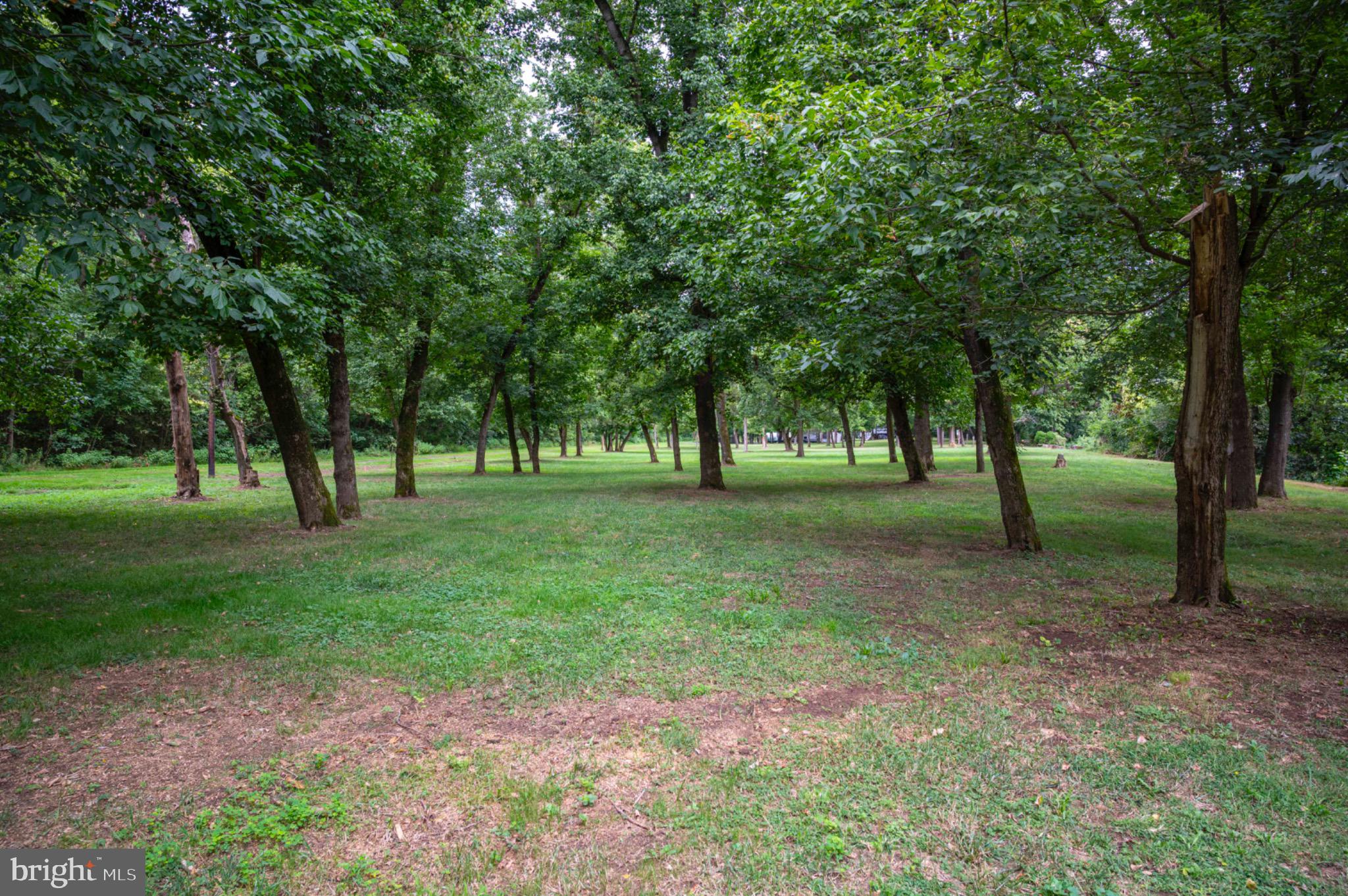 21 Burma Road Front Royal, VA 22630 - Photo 15 of 24 Park-like setting with scattered trees.