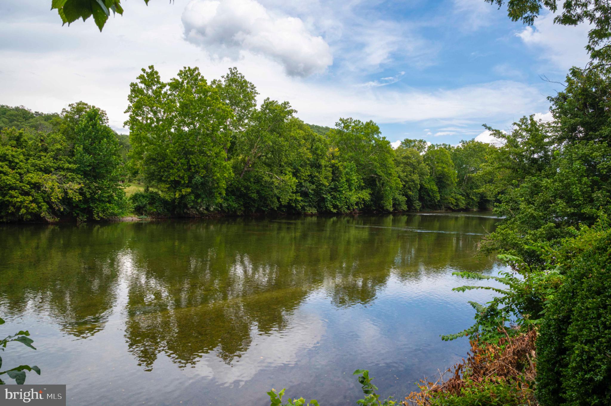 21 Burma Road Front Royal, VA 22630 - Photo 2 of 24 This is what riverfront looks like!
