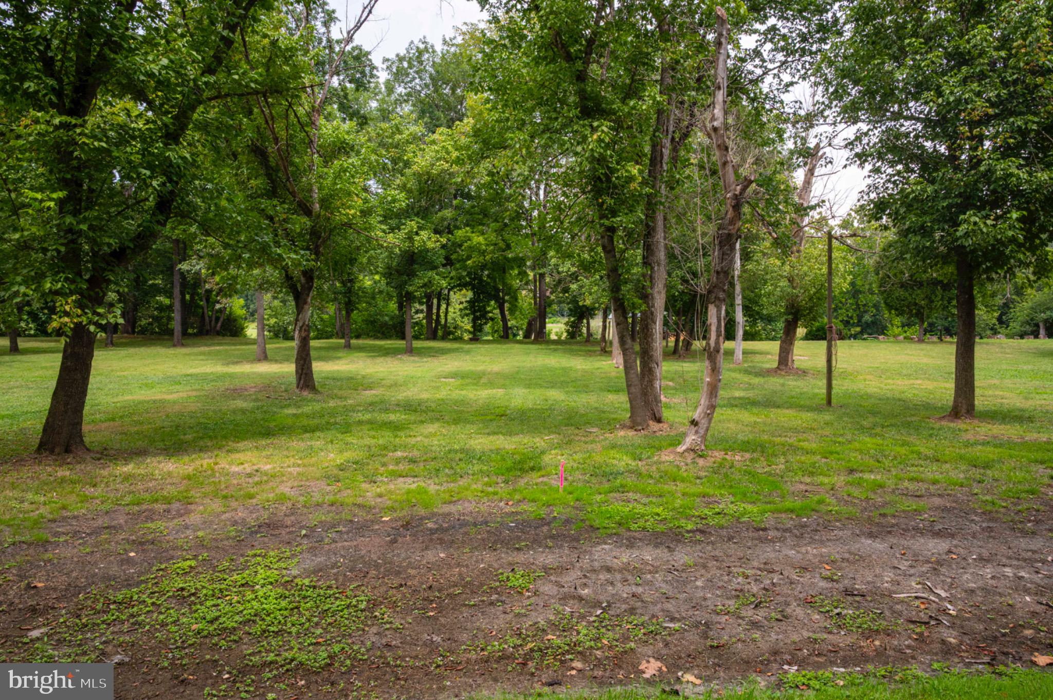 21 Burma Road Front Royal, VA 22630 - Photo 3 of 24 Park-like setting with scattered trees.