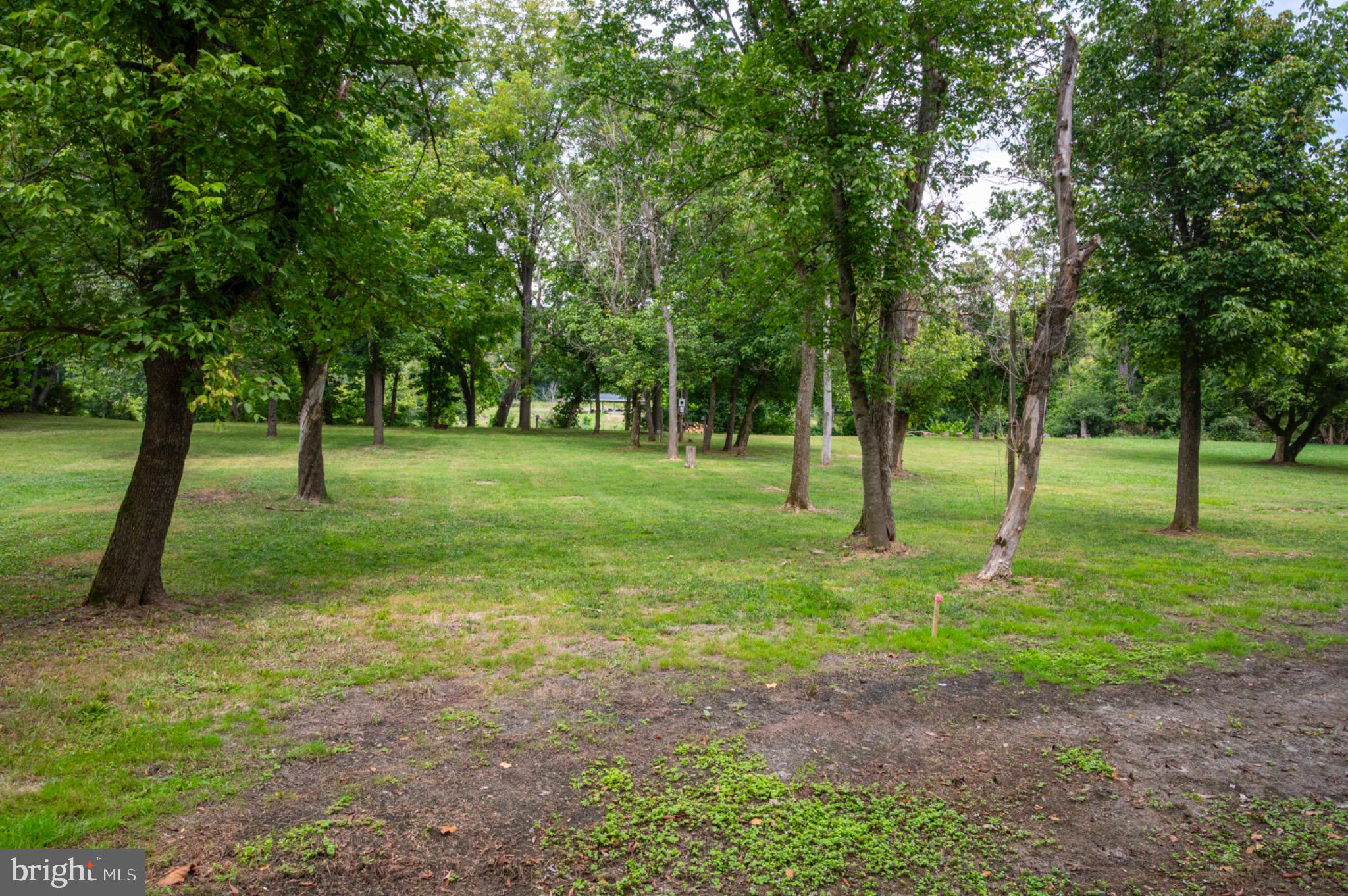 21 Burma Road Front Royal, VA 22630 - Photo 4 of 24 Park-like setting with scattered trees.
