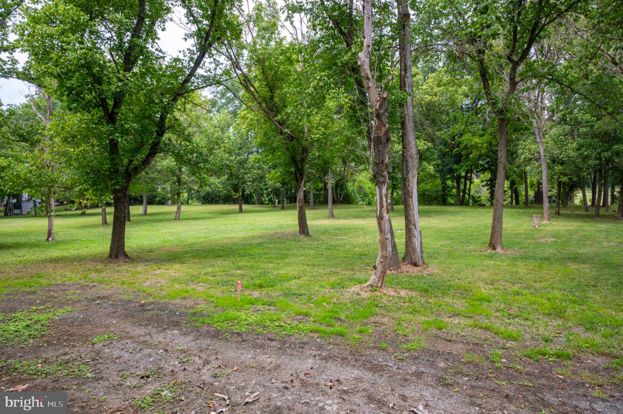 21 Burma Road Front Royal, VA 22630 - Photo 5 of 24 Park-like setting with scattered trees.