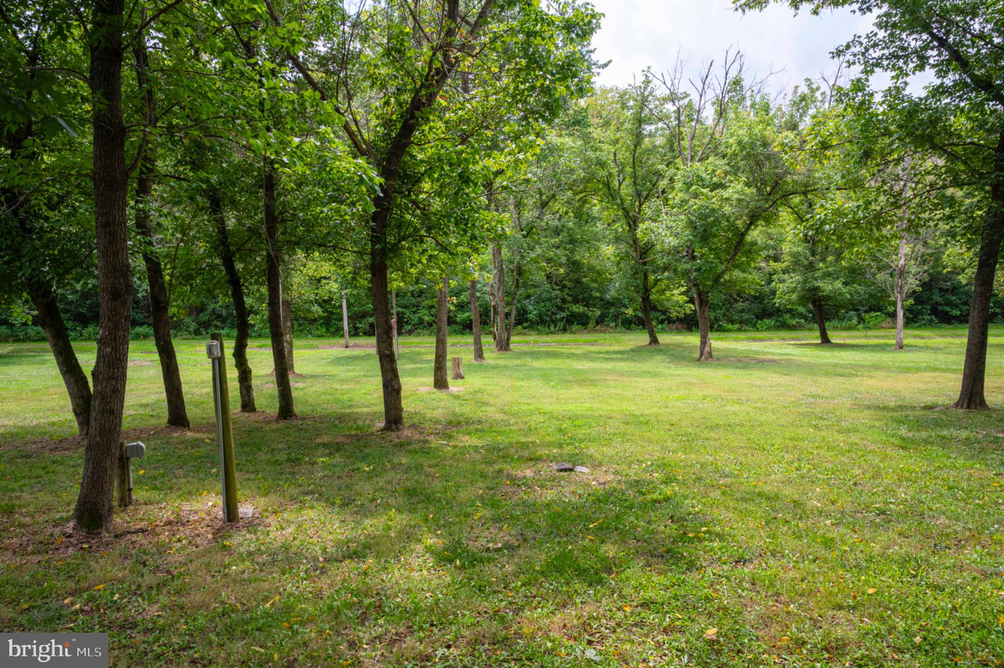 21 Burma Road Front Royal, VA 22630 - Photo 6 of 24 Park-like setting with scattered trees.