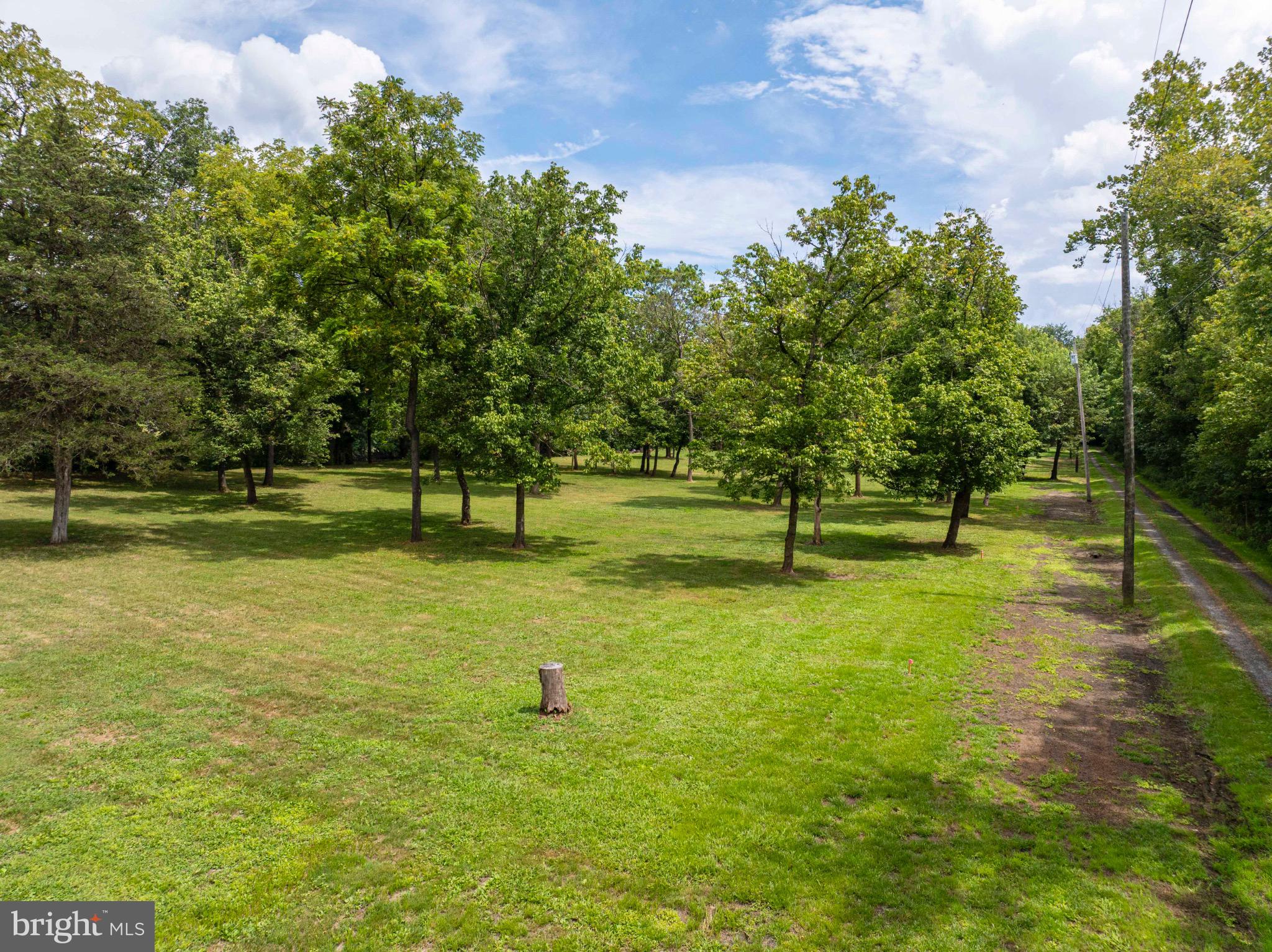 21 Burma Road Front Royal, VA 22630 - Photo 7 of 24 Park-like setting with scattered trees.