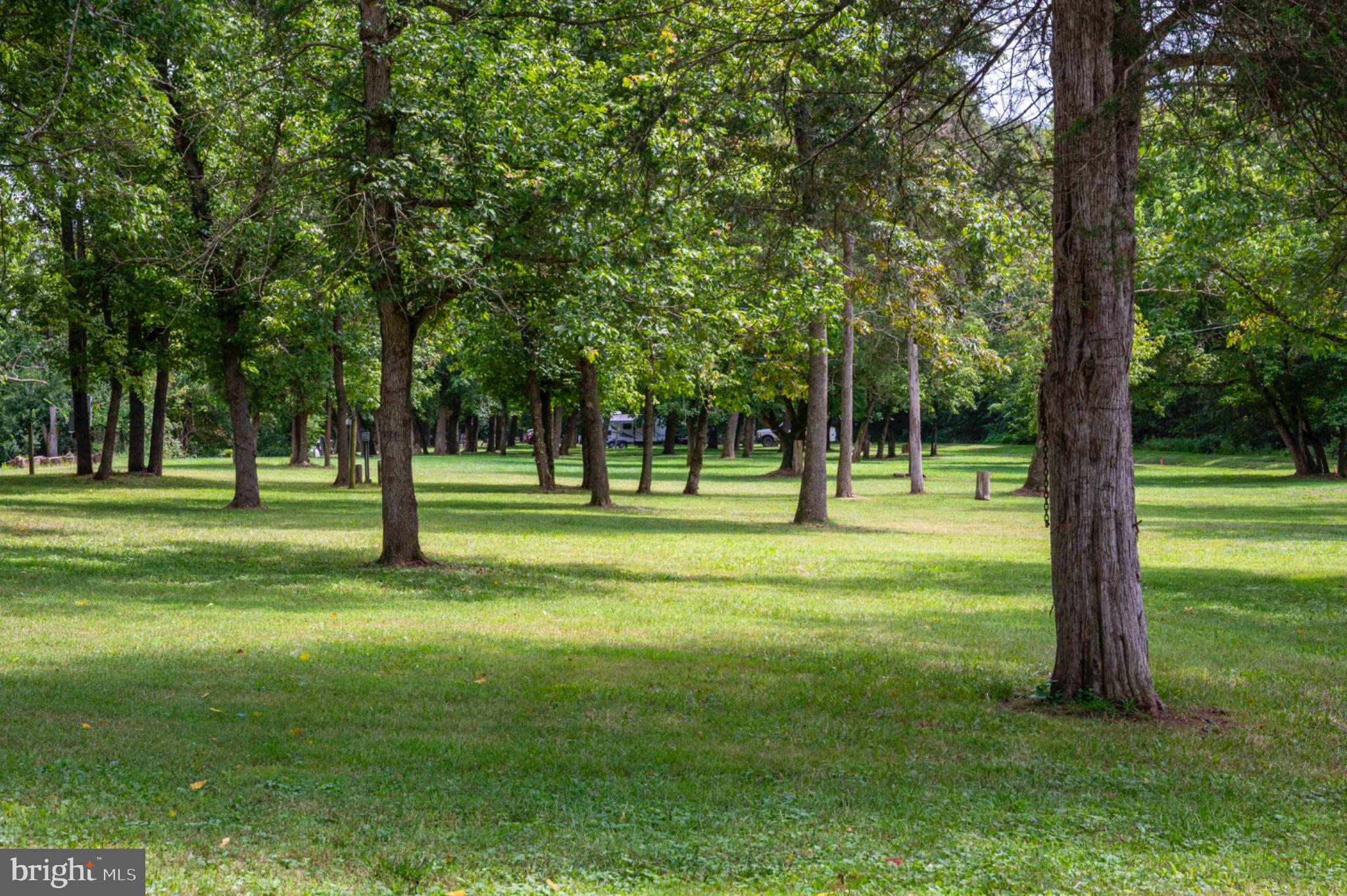 21 Burma Road Front Royal, VA 22630 - Photo 10 of 24 Park-like setting with scattered trees.