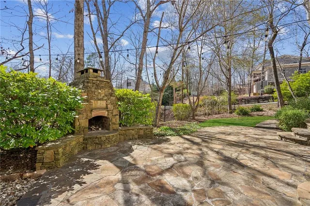 a view of a yard with plants