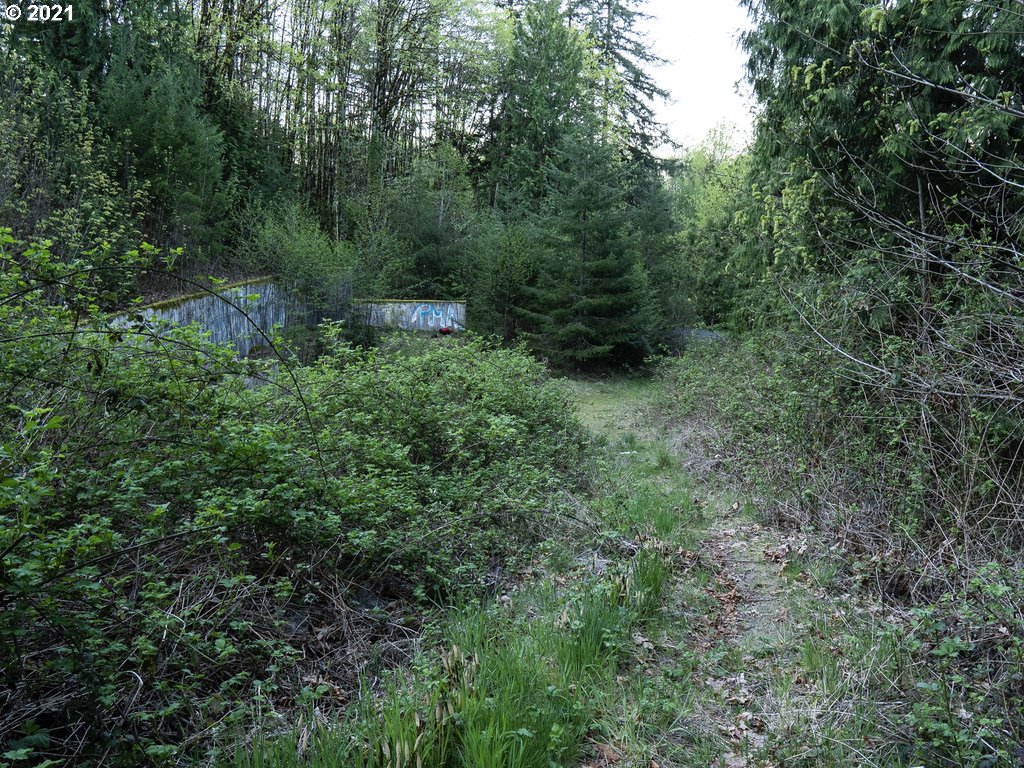 12627 Northwest Germantown Road Portland, OR 97231 - Photo 1 of 31 Gallery Image 1