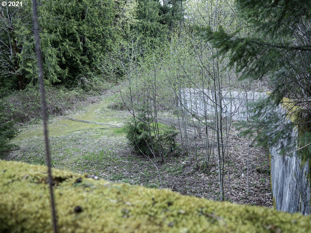 12627 Northwest Germantown Road Portland, OR 97231 - Photo 12 of 31 Gallery Image 12