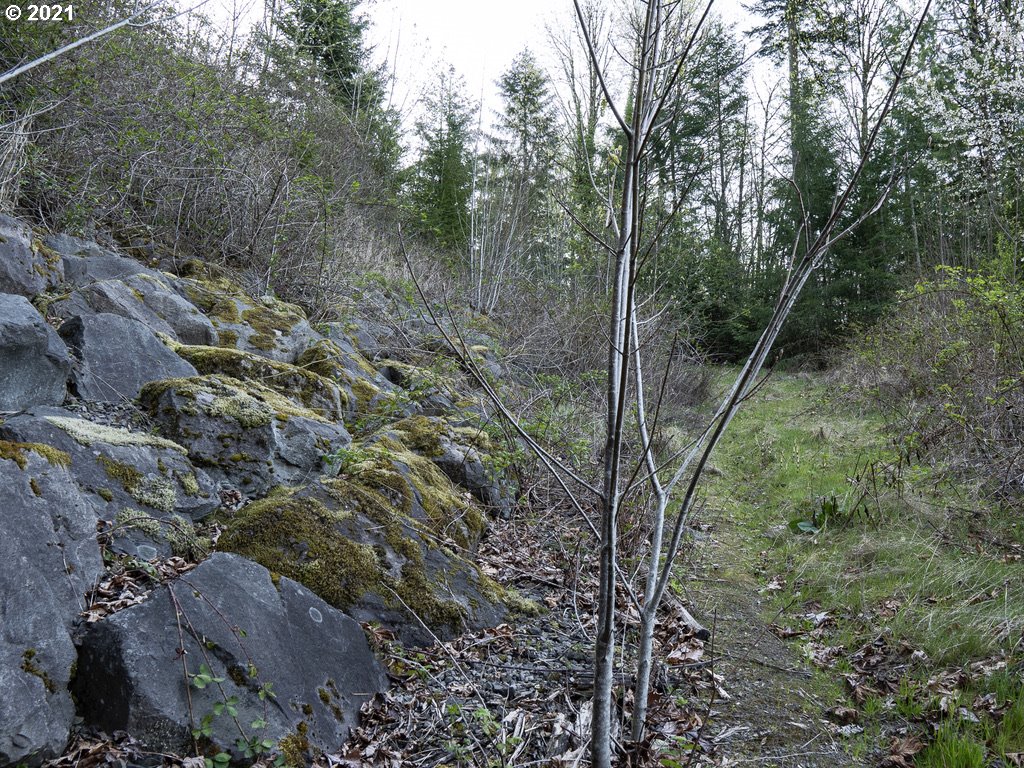 12627 Northwest Germantown Road Portland, OR 97231 - Photo 13 of 31 Gallery Image 13