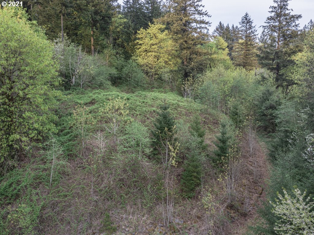 12627 Northwest Germantown Road Portland, OR 97231 - Photo 23 of 31 Gallery Image 23