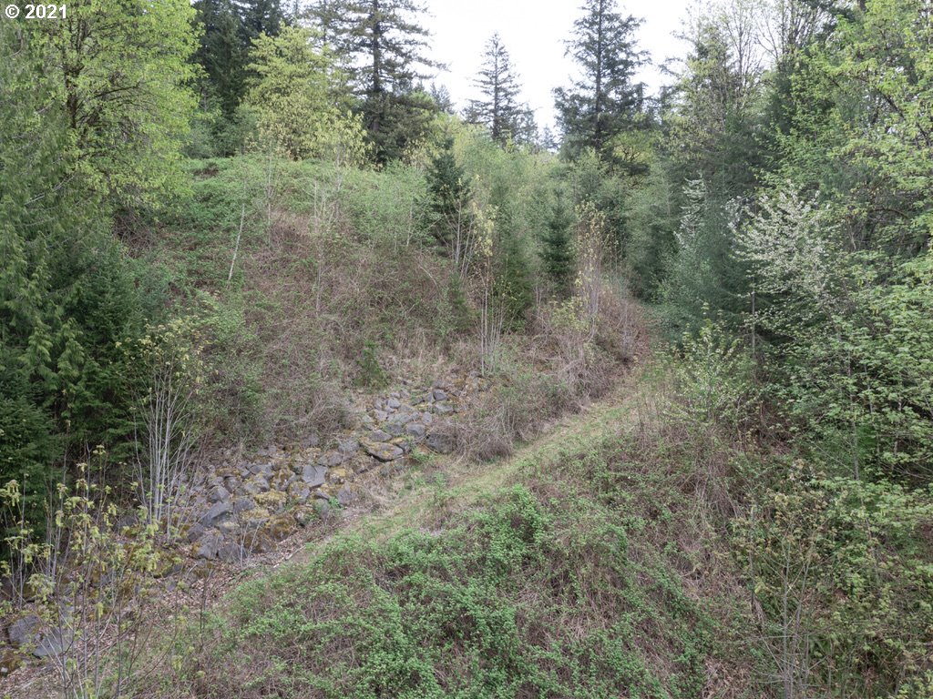 12627 Northwest Germantown Road Portland, OR 97231 - Photo 29 of 31 Gallery Image 29