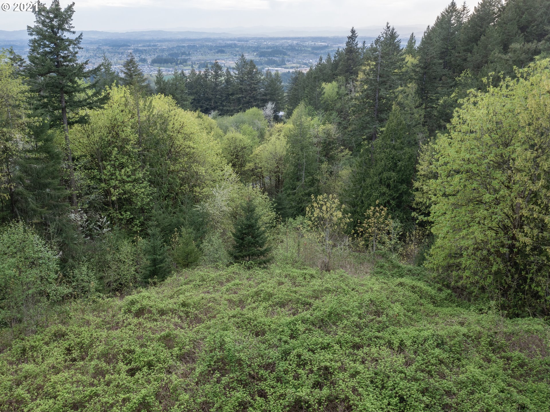 12627 Northwest Germantown Road Portland, OR 97231 - Photo 30 of 31 Gallery Image 30