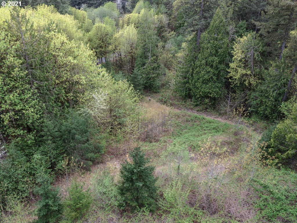 12627 Northwest Germantown Road Portland, OR 97231 - Photo 7 of 31 Gallery Image 7